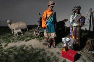 tibet_museum_visit27